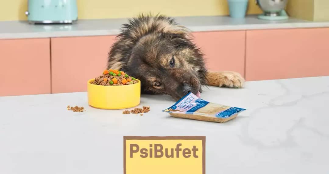 Czy pies może jeść gotowane mięso? Sprawdź, co musisz wiedzieć