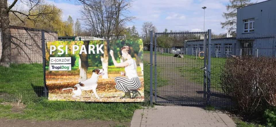 Gdzie z psem na spacer w Śląsku? Odkryj najlepsze miejsca dla psów