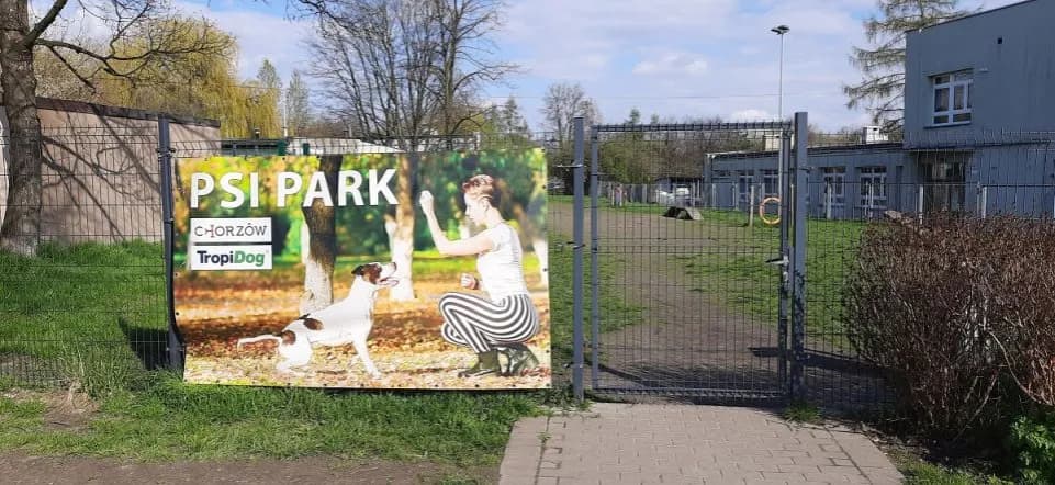 Gdzie z psem na spacer w Śląsku? Odkryj najlepsze miejsca dla psów