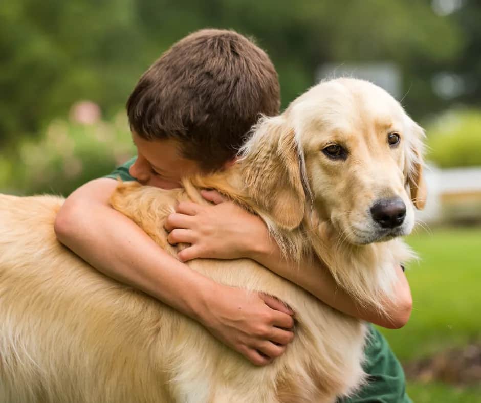 Czy golden retriever uczula? Odkryj prawdę o alergiach na psy