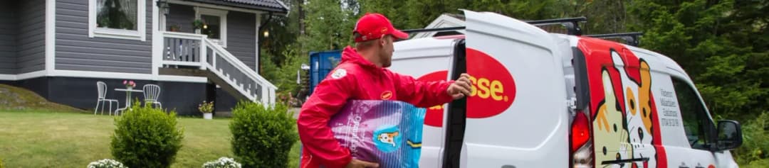 Czy pies może jeść surowe ziemniaki? Dowiedz się, co grozi psu