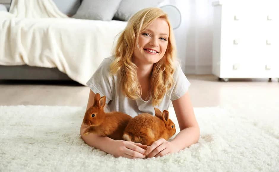 Jak wytresować królika: skuteczne metody, które zaskoczą każdego właściciela