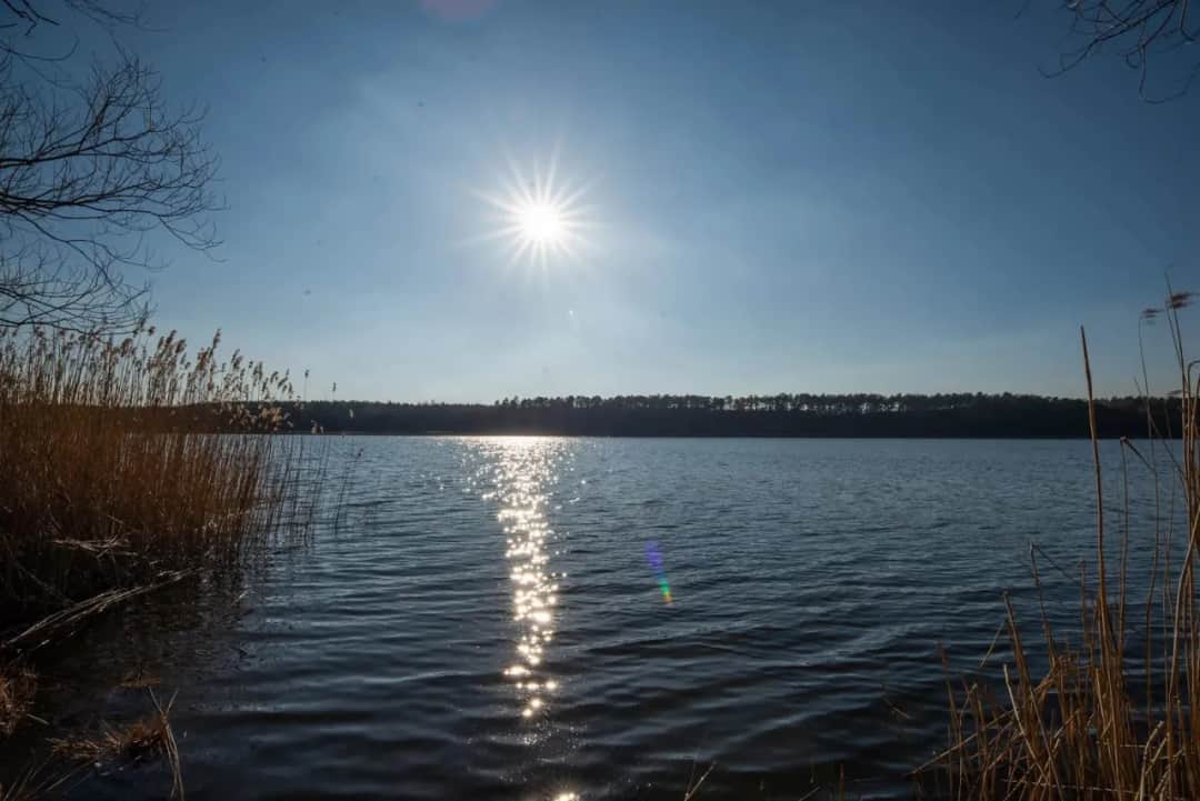 Gdzie na spacer z psem w okolicach Poznania? Odkryj najlepsze miejsca