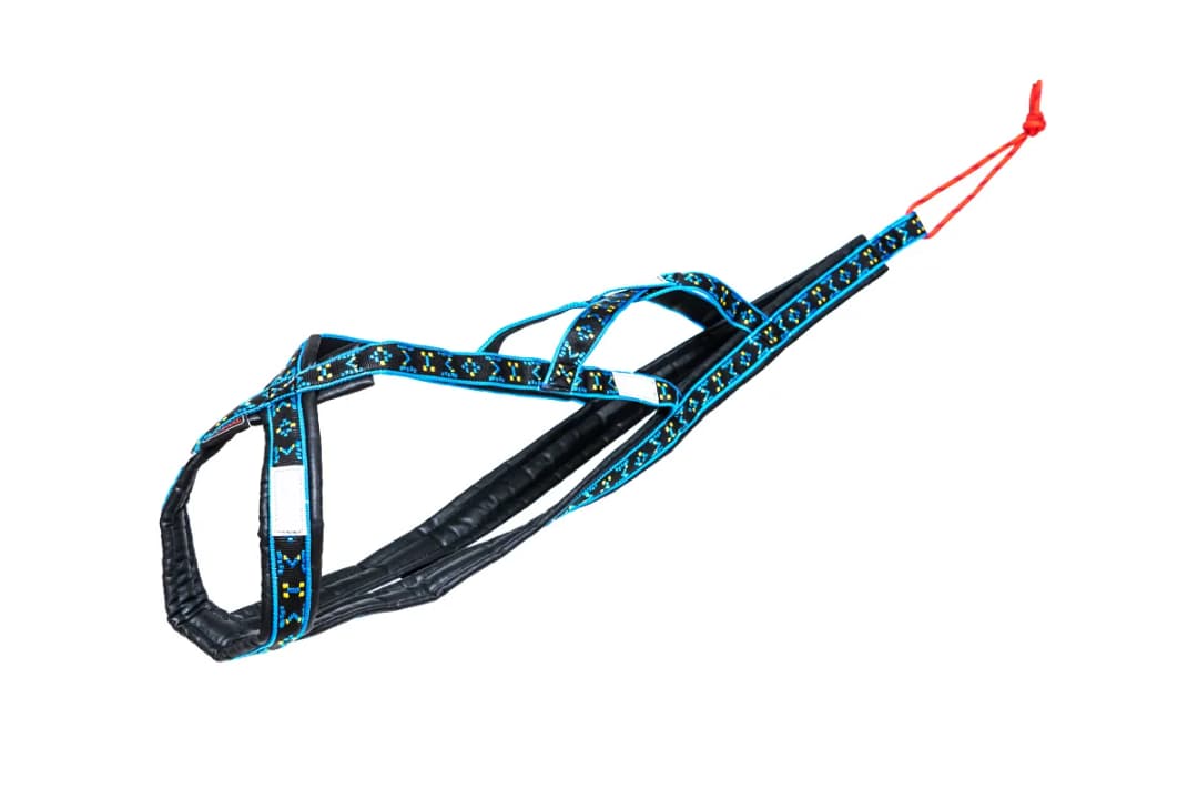 Jakie szelki dla husky zapewnią komfort i bezpieczeństwo?