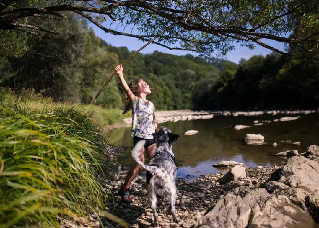 Gdzie na spacer z psem w Podkarpackiem? Odkryj najlepsze miejsca