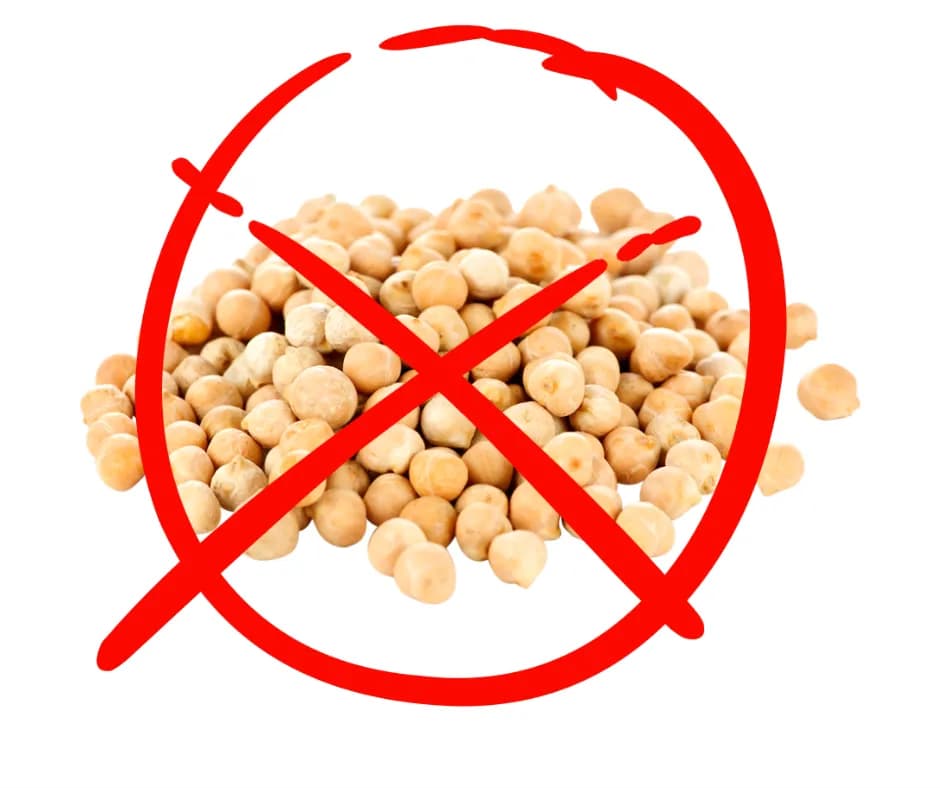 Czy pies może jeść groch? Bezpieczne porady i potencjalne zagrożenia