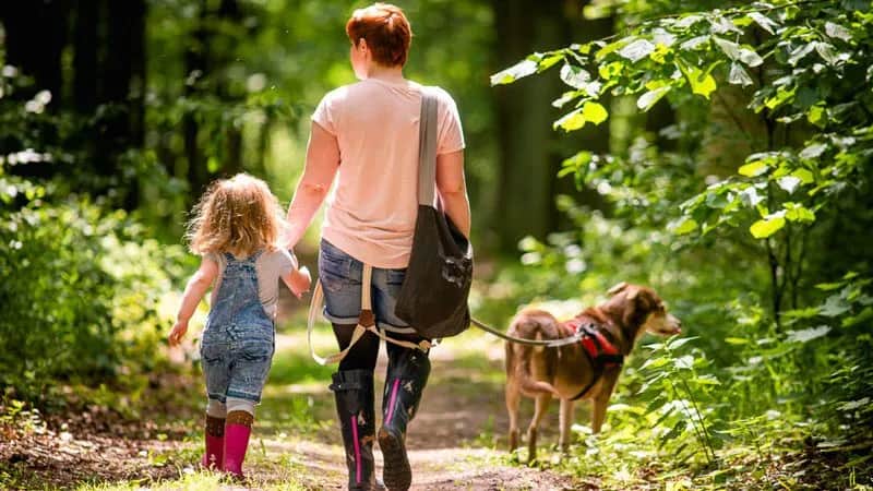 Gdzie na spacer z psem w okolicach Warszawy? Odkryj najlepsze miejsca